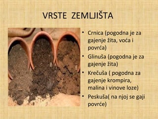 VRSTE ZEMLJIŠTA
• Crnica (pogodna je za
gajenje žita, voća i
povrća)
• Glinuša (pogodna je za
gajenje žita)
• Krečuša ( pogodna za
gajenje krompira,
malina i vinove loze)
• Peskuša( na njoj se gaji
povrće)
 
