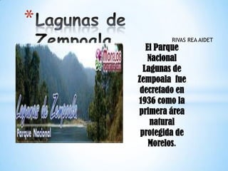 El Parque
Nacional
Lagunas de
Zempoala fue
decretado en
1936 como la
primera área
natural
protegida de
Morelos.
*
RIVAS REA AIDET
 