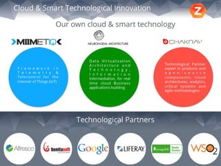 Zemsania Presentation 2015