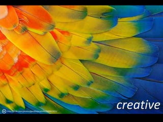 creativehttp://flickr.com/photos/gorditojaramillo/368461921/