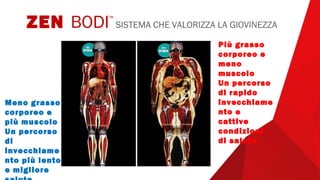 ZEN BODI™
SISTEMA CHE VALORIZZA LA GIOVINEZZA
Meno grasso
corporeo e
più muscolo
Un percorso
di
invecchiame
nto più lento
e migliore
Più grasso
corporeo e
meno
muscolo
Un percorso
di rapido
invecchiame
nto e
cattive
condizioni
di salute.
 