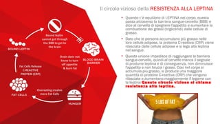 • Quando c’è equilibrio di LEPTINA nel corpo, questa
passa attraverso la barriera sangue-cervello (BBB) e
dice al cervello di spegnere l'appetito e aumentare la
combustione dei grassi (trigliceridi) dalle cellule di
grasso.
• Dato che le persone accumulano più grasso nelle
loro cellule adipose, la proteina C-reattiva (CRP) viene
rilasciata dalle cellule adipose e si lega alla leptina
nel sangue.
• Questa unione impedisce di raggiungere la barriera
sangue-cervello, quindi al cervello manca il segnale
di produrre leptina e di conseguenza, non diminuisce
l'appetito e non brucia i grassi. Cosi nel corpo si
accumula più grasso, si produce una maggiore
quantità di proteine C-reattive (CRP) che vengono
rilasciate e aumentano maggiormente il legame con
la leptina Questo circolo vizioso si chiama
resistenza alla leptina.
Il circolo vizioso della RESISTENZA ALLA LEPTINA
Bound leptin
cannot get through
the BBB to get to
the brain
Fat Cells Release
C-REACTIVE
PROTEIN (CRP)
Brain does not
know to turn
off appetite
& burn fat
Overeating creates
more Fat Cells
 