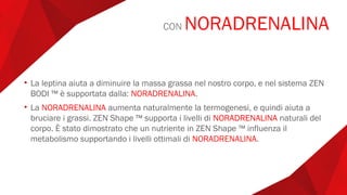 • La leptina aiuta a diminuire la massa grassa nel nostro corpo, e nel sistema ZEN
BODI ™ è supportata dalla: NORADRENALINA.
• La NORADRENALINA aumenta naturalmente la termogenesi, e quindi aiuta a
bruciare i grassi. ZEN Shape ™ supporta i livelli di NORADRENALINA naturali del
corpo. È stato dimostrato che un nutriente in ZEN Shape ™ influenza il
metabolismo supportando i livelli ottimali di NORADRENALINA.
CON NORADRENALINA
 