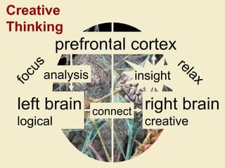 prefrontal cortex left brain logical right brain creative analysis connect focus relax insight Creative  Thinking 