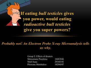 Probably not! An Electron Probe X-ray Microanalysis tells us why. 
If eating bull testicles gives you power, would eating radioactive bull testicles give you super powers? 
Group 2: Effects of disaters Motsomane Puseletso 10483846 Ntuli Isaac 29344192 Pitswane Matshidiso 10294547  