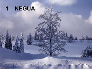1 NEGUA 