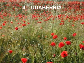 4 UDABERRIA 