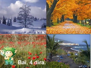 Bai, 4 dira. 
