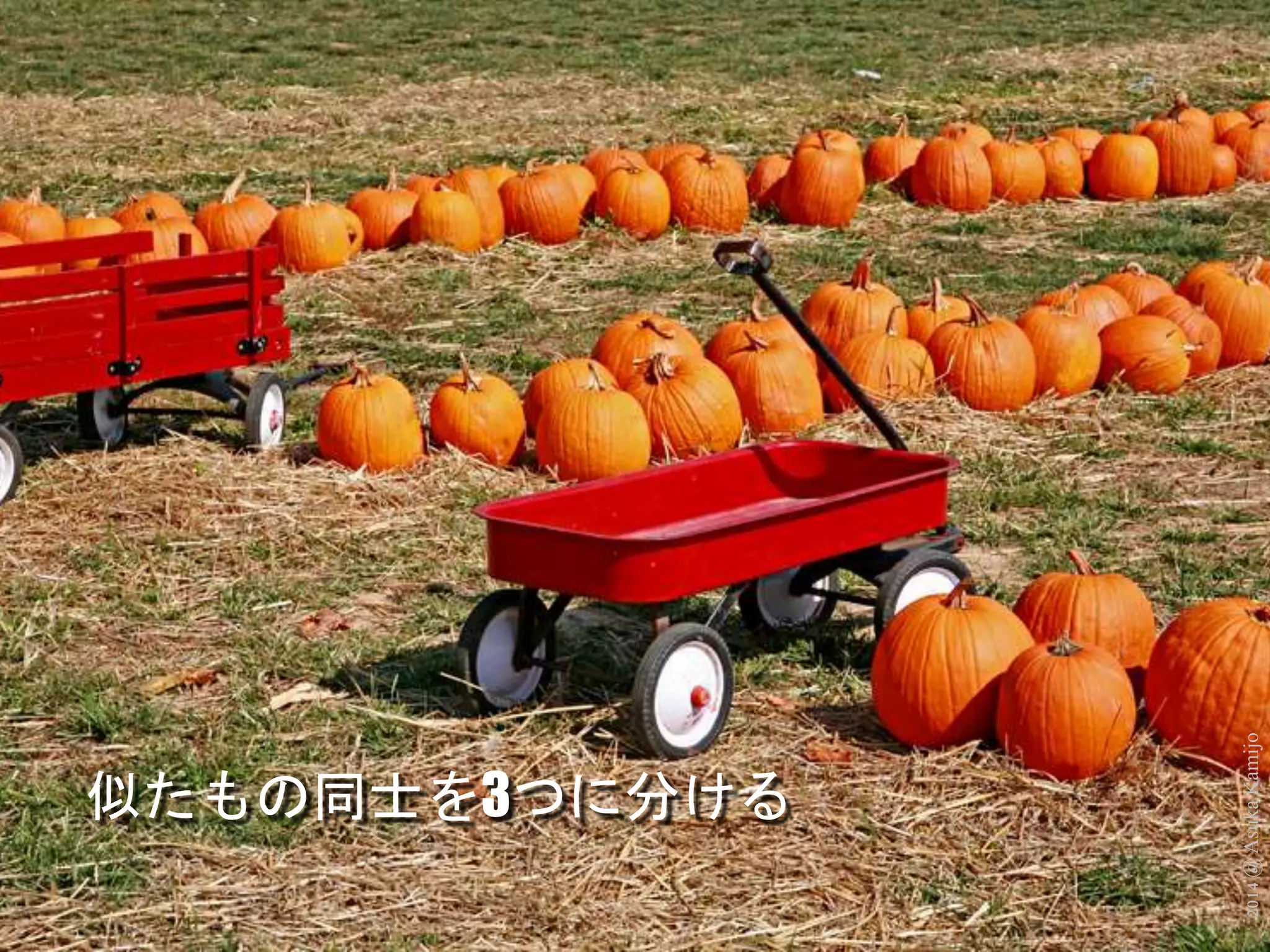 2014 @ Asuka Kamijo 
似たもの同士を3つに分ける 
 