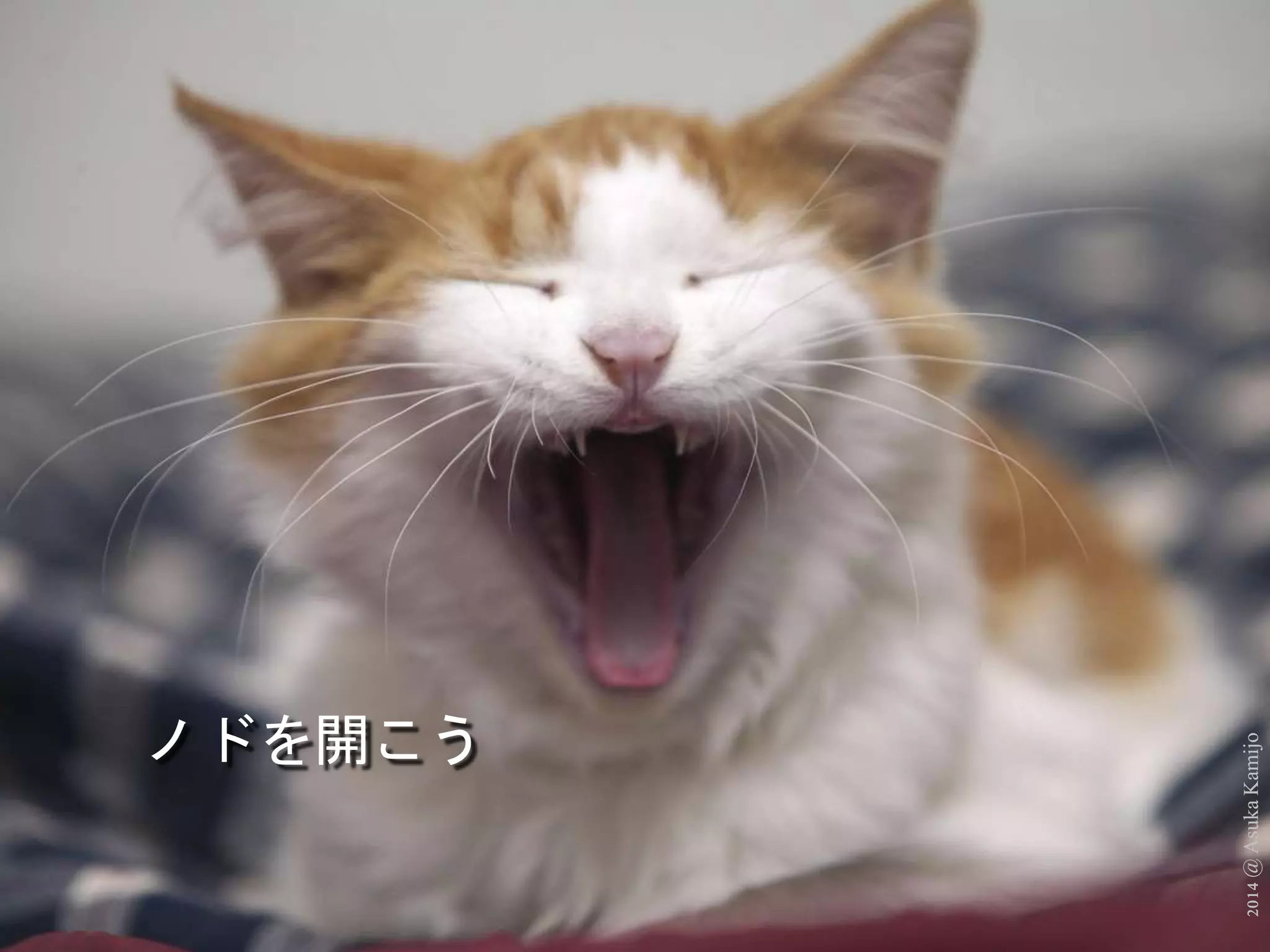 2014 @ Asuka Kamijo 
ノドを開こう 
 