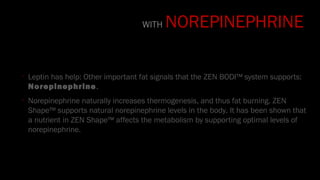 •
Leptin has help: Other important fat signals that the ZEN BODI™ system supports:
Norepinephrine.
•
Norepinephrine naturally increases thermogenesis, and thus fat burning. ZEN
Shape™ supports natural norepinephrine levels in the body. It has been shown that
a nutrient in ZEN Shape™ affects the metabolism by supporting optimal levels of
norepinephrine.
WITH NOREPINEPHRINE
 