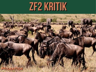 ZZFF22 KKRRIITTIIKK 
[B24] 
4455 // 6699 MMiiggrraattiioonn 
 