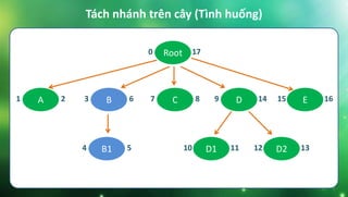 Tách nhánh trên cây (Tình huống)
Root0 17
B3 6 C7 8 E15 16D9 14A1 2
B14 5 D110 11 D212 13
 