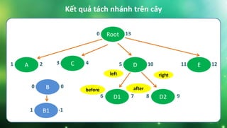 Kết quả tách nhánh trên cây
Root0 13
C3 4 E11 12D5 10A1 2
B0 0
B11 -1
D16 7 D28 9
left right
before after
 