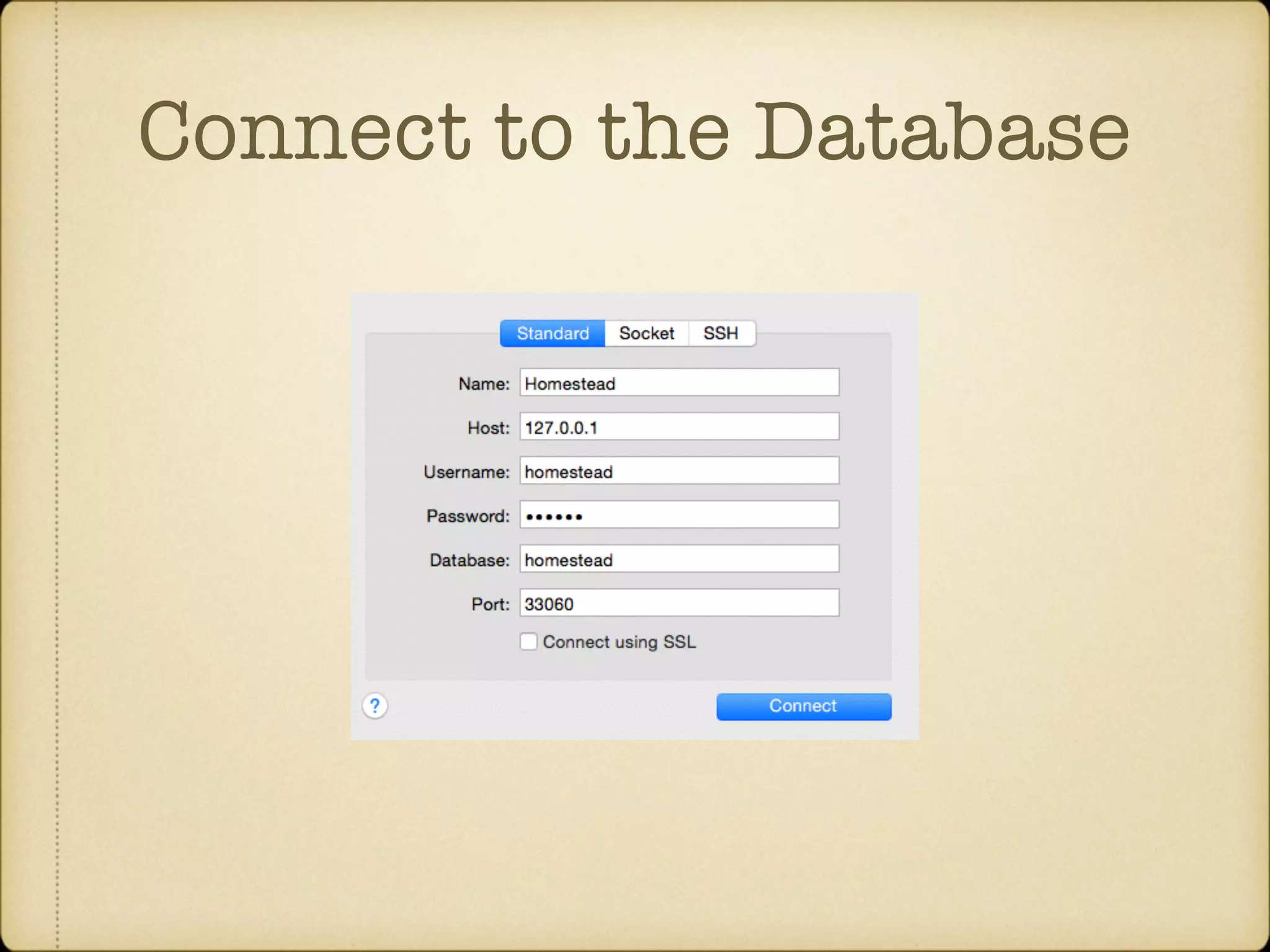 Connect to the Database 
