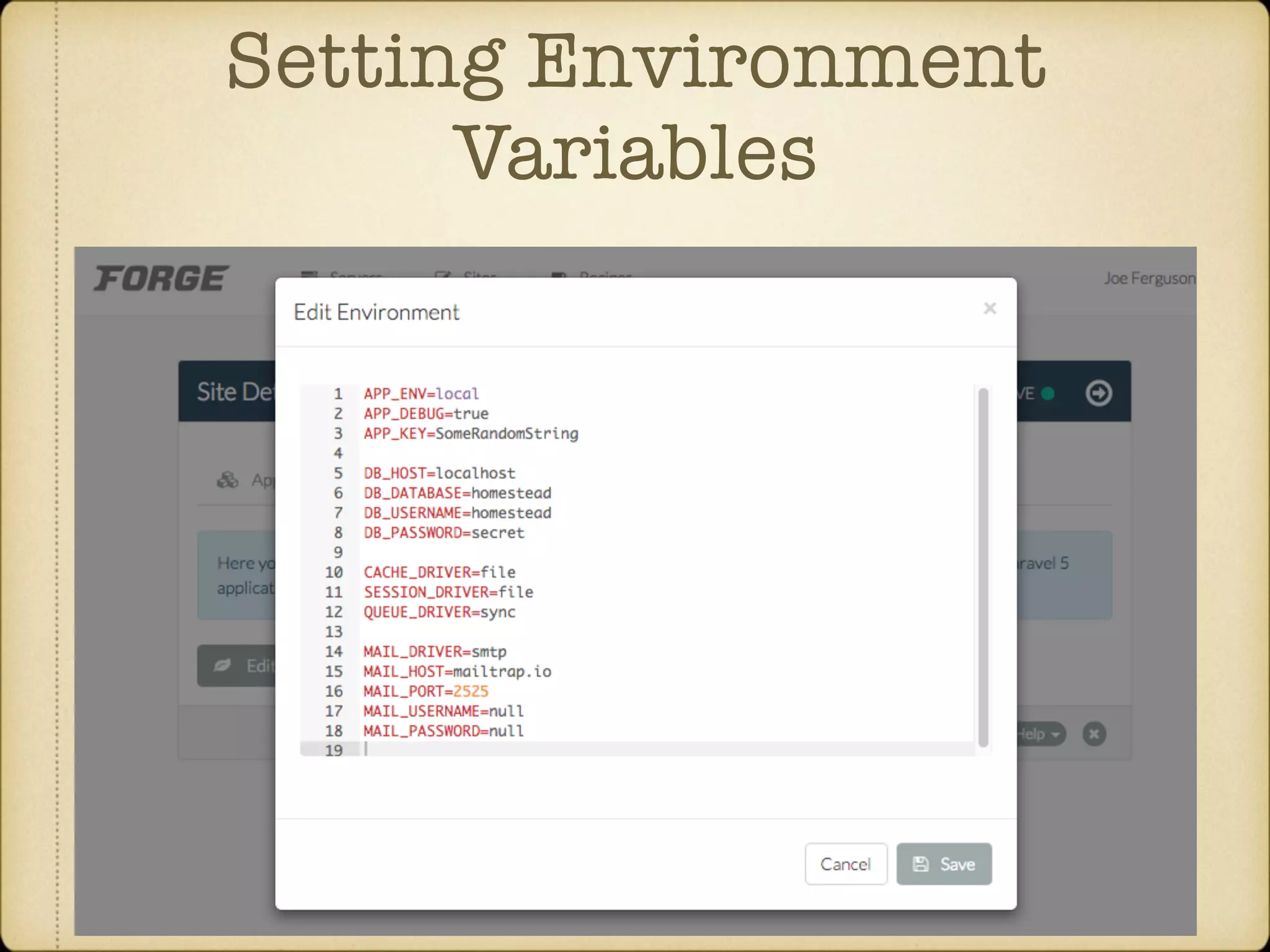 Setting Environment Variables 
