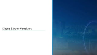 Kibana & Other Visualizers
 