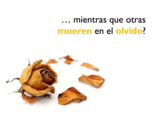 … mientras que otras
mueren en el olvido?
 