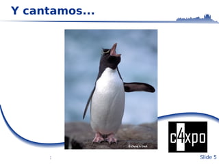 Se hicieron grupos GULs 