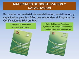Se cuenta con material de sensibilización, socialización, y capacitación para las BPA, que responden al Programa de Certificación de BPA en FyH: 
Introducción a las BPAs en frutas y Hortaliza. 
Guía de Buenas Practicas Agrícolas para la producción con inocuidad de frutas y hortalizas 
MATERIALES DE SOCIALIZACION Y CAPACITACION  
