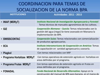 INSTITUCIONES 
Actividades 2011 - 2015 
• INIAF (MDRyT) 
Instituto Nacional de Investigación Agropecuaria y Forestal: Temas técnicos de manuales agronómicos de los cultivos. 
• GIZ 
Cooperación Alemana – Suecia: Temas relacionados con la gestión del agua (riego) Se tiene avanzado en Manzana la implementación de BPA. 
• SWISSCONTAC 
Cooperación Suiza: Temas relacionados con comercialización de productos agropecuarios. 
• IICA 
Instituto Interamericano de Cooperación en América: Temas de capacitación en sanidad agropecuaria y asesoría. 
• Plagbol 
Con temas relacionados con MIP 
• Programa Hortalizas MDRyT 
Con temas operativos de extensión agrícola en hortalizas en areas definidas por el programa. 
• Programa Frutas MDRyT 
Con temas operativos de extensión agrícola en frutas en areas definidas por el programa. 
• FONADAL 
Fondo Nacional de Desarrollo Alternativo: Apoyo en la construcción del manual de BPA para banano, en el marco de COORDINACION PARA TEMAS DE SOCIALIZACION DE LA NORMA BPA  