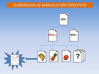 BPA BPAFyH BPAX 
? 
ELABORACION DE MANUALES BPA ESPECIFICOS  