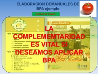 Labores culturales 
Cosecha 
Envasado en campo 
• Fertilización básica: 
• Aplicaciones suplementarias 
Preparacion del suelo 
Transplante 
Manejo Integrado de plagas 
• Arado • Rastreo • Encamado 
• Limpieza del área • Tutoreo • Aporque • Mantenimiento de Camas • Mantenimiento de Drenes • Poda 
• Control cultural • Control Mecánico • Control Físico • Control Biológico • Control Químico 
Preparación del almaciguera 
Riego 
CULTIVO DE TOMATE ELABORACION DEMANUALES DE BPA ejemplo 
Fase Preparatoria. 
1.- Instalaciones basicas. 
2.- Higiene. 
3.- Manejo de Fauna domestica y silvestre. 
4.- Capacitación. 
5.- Evaluaciones internas. 
6.-Documental y humana. 
7.- Instalaciones y equipamiento basicas. 
Fase Productiva. 
1.- Historial de la Unidad Productiva. 
2.- Variedad y patrones 
3.- Gestion de suelo y sutrado. 
4.- Fertilizacion. 
5.- Uso y manejo de agua. 
6.- Manejo y uso correcto de plaguicidas. 
7.- Cosecha y transporte. 
8.- Empacado 
9.- Rastreabilidad B P A LA COMPLEMEMTARIDAD ES VITAL SI DESEAMOS APLICAR BPA  