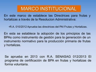 En este marco de establece las Directrices para frutas y hortalizas a través de la Resolucion Administrativa: 
•R.A. 010/2012 Aprueba las directrices del PAI Frutas y Hortalizas. En esta se establece la adopción de los principios de las BPAs como instrumento de gestión para la generación de un instrumento normativo para la producción primaria de frutas y hortalizas. MARCO INSTITUCIONAL: 
Se aprueba en 2013 con R.A. SENASAG 012/2013 El programa de certificación de BPA en frutas y hortalizas de forma voluntaria.  