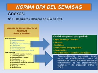 Fase Preparatoria. 1.- Instalaciones basicas. 2.- Higiene. 3.- Manejo de Fauna domestica y silvestre. 4.- Capacitación. 5.- Evaluaciones internas. 6.-Documental y humana. 7.- Instalaciones y equipamiento basicas. Fase Productiva. 1.- Historial de la Unidad Productiva. 2.- Variedad y patrones 3.- Gestion de suelo y sutrado. 4.- Fertilizacion. 5.- Uso y manejo de agua. 6.- Manejo y uso correcto de plaguicidas. 7.- Cosecha y transporte. 8.- Empacado 9.- Rastreabilidad MANUAL DE BUENAS PRACTICAS AGRICOLAS (Frutas y Hortalizas) Condiciones previas para producir: - Agua para riego, consumo. - Barreras. - Sanitarios. - Instalaciones para plaguicidas. - Capacitación. - Procedimientos – sanitarios, producción 
Recomendaciones operativas desde antes del establecimiento hasta el envasado en campo, haciendo hincapié al cumplimiento de los procedimientos sanitarios y de producción (POEs y POES).. NORMA BPA DEL SENASAG 
Nº 1.- Requisitos Técnicos de BPA en FyH. 
Anexos:  