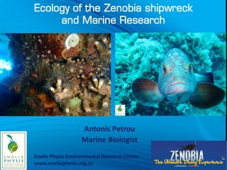 Ecology of the Zenobia shipwreck
and Marine Research
Antonis Petrou
Marine Biologist
 