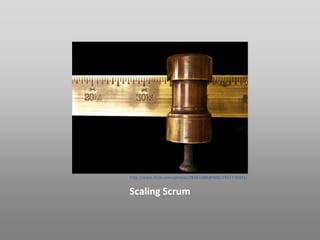 http://www.flickr.com/photos/28481088@N00/2957770391/


Scaling Scrum
 