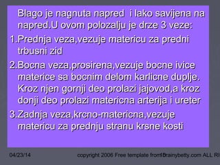 04/23/14 copyright 2006 Free template from brainybetty.com ALL RIG10
Blago je nagnuta napred i lako savijena naBlago je nagnuta napred i lako savijena na
napred.U ovom polozalju je drze 3 veze:napred.U ovom polozalju je drze 3 veze:
1.Prednja veza,vezuje matericu za predni1.Prednja veza,vezuje matericu za predni
trbusni zidtrbusni zid
2.Bocna veza,prosirena,vezuje bocne ivice2.Bocna veza,prosirena,vezuje bocne ivice
materice sa bocnim delom karlicne duplje.materice sa bocnim delom karlicne duplje.
Kroz njen gornji deo prolazi jajovod,a krozKroz njen gornji deo prolazi jajovod,a kroz
donji deo prolazi matericna arterija i ureterdonji deo prolazi matericna arterija i ureter
3.Zadnja veza,krcno-matericna,vezuje3.Zadnja veza,krcno-matericna,vezuje
matericu za prednju stranu krsne kostimatericu za prednju stranu krsne kosti
 
