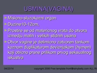 04/23/14 copyright 2006 Free template from brainybetty.com ALL RIG12
USMINA(VAGINA)USMINA(VAGINA)
►Misicno-sluzokozni organMisicno-sluzokozni organ
►Duzine10-12cm,Duzine10-12cm,
►Prostire se od matericnog vrata do otvoraProstire se od matericnog vrata do otvora
izmedju malih i velikih stidnih usanaizmedju malih i velikih stidnih usana
►Otvor vagine je delimicno zatvoren tankomOtvor vagine je delimicno zatvoren tankom
koznom duplikaturom devicnjakom (hymen)koznom duplikaturom devicnjakom (hymen)
koji obicno prsne prilikom prvog seksualnogkoji obicno prsne prilikom prvog seksualnog
iskustvaiskustva
 