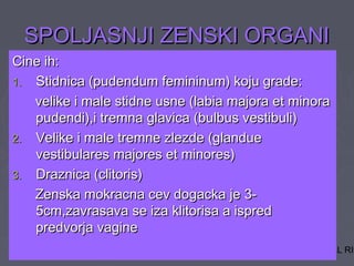 04/23/14 copyright 2006 Free template from brainybetty.com ALL RIG13
SPOLJASNJI ZENSKI ORGANISPOLJASNJI ZENSKI ORGANI
Cine ih:Cine ih:
1.1. Stidnica (pudendum femininum) koju grade:Stidnica (pudendum femininum) koju grade:
velike i male stidne usne (labia majora et minoravelike i male stidne usne (labia majora et minora
pudendi),i tremna glavica (bulbus vestibuli)pudendi),i tremna glavica (bulbus vestibuli)
2.2. Velike i male tremne zlezde (glandueVelike i male tremne zlezde (glandue
vestibulares majores et minores)vestibulares majores et minores)
3.3. Draznica (clitoris)Draznica (clitoris)
Zenska mokracna cev dogacka je 3-Zenska mokracna cev dogacka je 3-
5cm,zavrasava se iza klitorisa a ispred5cm,zavrasava se iza klitorisa a ispred
predvorja vaginepredvorja vagine
 