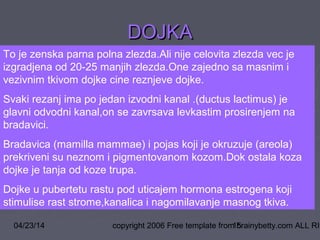 04/23/14 copyright 2006 Free template from brainybetty.com ALL RIG15
To je zenska parna polna zlezda.Ali nije celovita zlezda vec je
izgradjena od 20-25 manjih zlezda.One zajedno sa masnim i
vezivnim tkivom dojke cine reznjeve dojke.
Svaki rezanj ima po jedan izvodni kanal .(ductus lactimus) je
glavni odvodni kanal,on se zavrsava levkastim prosirenjem na
bradavici.
Bradavica (mamilla mammae) i pojas koji je okruzuje (areola)
prekriveni su neznom i pigmentovanom kozom.Dok ostala koza
dojke je tanja od koze trupa.
Dojke u pubertetu rastu pod uticajem hormona estrogena koji
stimulise rast strome,kanalica i nagomilavanje masnog tkiva.
DOJKADOJKA
 