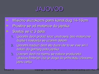 04/23/14 copyright 2006 Free template from brainybetty.com ALL RIG5
JAJOVODJAJOVOD
► Misicno sluzokozni parni kanal,dug 14-16cmMisicno sluzokozni parni kanal,dug 14-16cm
► Prostire se od materice do jajnikaProstire se od materice do jajnika
► Sastoji se iz 3 dela:Sastoji se iz 3 dela:
1.1. (pocetni deo) prolazi kroz unutrasnji deo matericne(pocetni deo) prolazi kroz unutrasnji deo matericne
duplje I nastavlja se uzanim delomduplje I nastavlja se uzanim delom
2.2. (pocetni,najduzi deo) sto duze ide to se vise siri I(pocetni,najduzi deo) sto duze ide to se vise siri I
dolazi do gornjeg pola jajnikadolazi do gornjeg pola jajnika
3.3. (zavrsni deo) na njemu se nalaze produzetci(zavrsni deo) na njemu se nalaze produzetci
(dlacice,fimbrije) cija je uloga da prihvataju izbacenu(dlacice,fimbrije) cija je uloga da prihvataju izbacenu
jajnu celijujajnu celiju
 