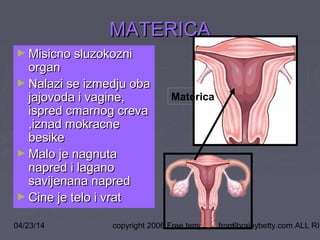 04/23/14 copyright 2006 Free template from brainybetty.com ALL RIG6
MATERICAMATERICA
► Misicno sluzokozniMisicno sluzokozni
organorgan
► Nalazi se izmedju obaNalazi se izmedju oba
jajovoda i vagine,jajovoda i vagine,
ispred cmarnog crevaispred cmarnog creva
,iznad mokracne,iznad mokracne
besikebesike
► Malo je nagnutaMalo je nagnuta
napred i laganonapred i lagano
savijenana napredsavijenana napred
► Cine je telo i vratCine je telo i vrat
Materica
 