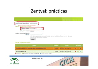 Zentyal: prácticas




www.cica.es
 