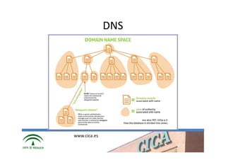 DNS




www.cica.es
 