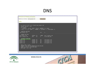 DNS




www.cica.es
 