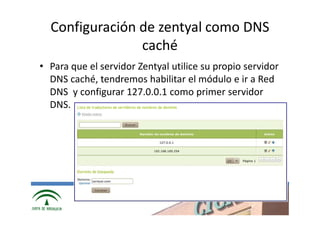 Configuración de zentyal como DNS
                caché
• Para que el servidor Zentyal utilice su propio servidor
  DNS caché, tendremos habilitar el módulo e ir a Red
  DNS y configurar 127.0.0.1 como primer servidor
  DNS.




               www.cica.es
 