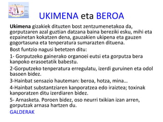 UKIMENA eta BEROA
Ukimena gizakiek dituzten bost zentzumenetakoa da,
gorputzaren azal guztian datzana baina bereziki esku, mihi eta
ezpainetan kokatzen dena, gauzakien ukipena eta gauzen
gogortasuna eta tenperatura sumarazten dituena.
Bost funtzio nagusi betetzen ditu:
1- Gorputzeko gainerako organoei eutsi eta gorputza bera
kanpoko erasoetatik babestu.
2-Gorputzeko tenperatura erregulatu, izerdi guruinen eta odol
basoen bidez.
3-Hainbat sensazio hauteman: beroa, hotza, mina…
4-Hainbat substantziaren kanporatzea edo iraiztea; toxinak
kanporatzen ditu izerdiaren bidez.
5- Arnasketa. Poroen bidez, oso neurri txikian izan arren,
gorputzak arnasa hartzen du.
GALDERAK
 