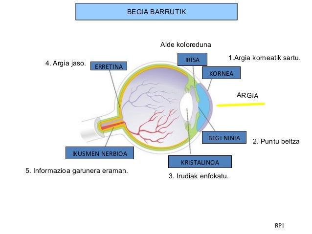 Resultado de imagen de begia kanpotik