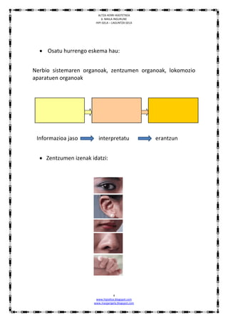 ALTZA HERRI IKASTETXEA
                           6. MAILA INGURUNE
                       HIPI GELA – LAGUNTZA GELA




   Osatu hurrengo eskema hau:


Nerbio sistemaren organoak, zentzumen organoak, lokomozio
aparatuen organoak




 Informazioa jaso        interpretatu                erantzun


   Zentzumen izenak idatzi:




                                   4
                       www.hipialtza.blogspot.com
                      www.margarigela.blogspot.com
 