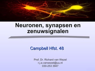 Neuronen, synapsen en zenuwsignalen Campbell Hfst. 48 Prof. Dr. Richard van Wezel [email_address] 030-253 3947 