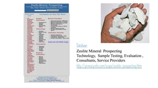 Zeolite - Trade Technology Project Database