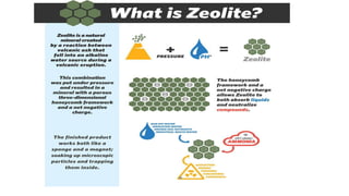 Zeolite - Trade Technology Project Database