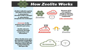 Zeolite - Trade Technology Project Database