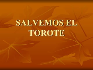 SALVEMOS EL
TOROTE
 