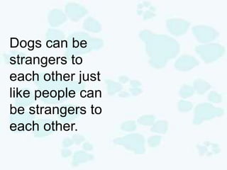 Dogs can be
strangers to
each other just
like people can
be strangers to
each other.
 